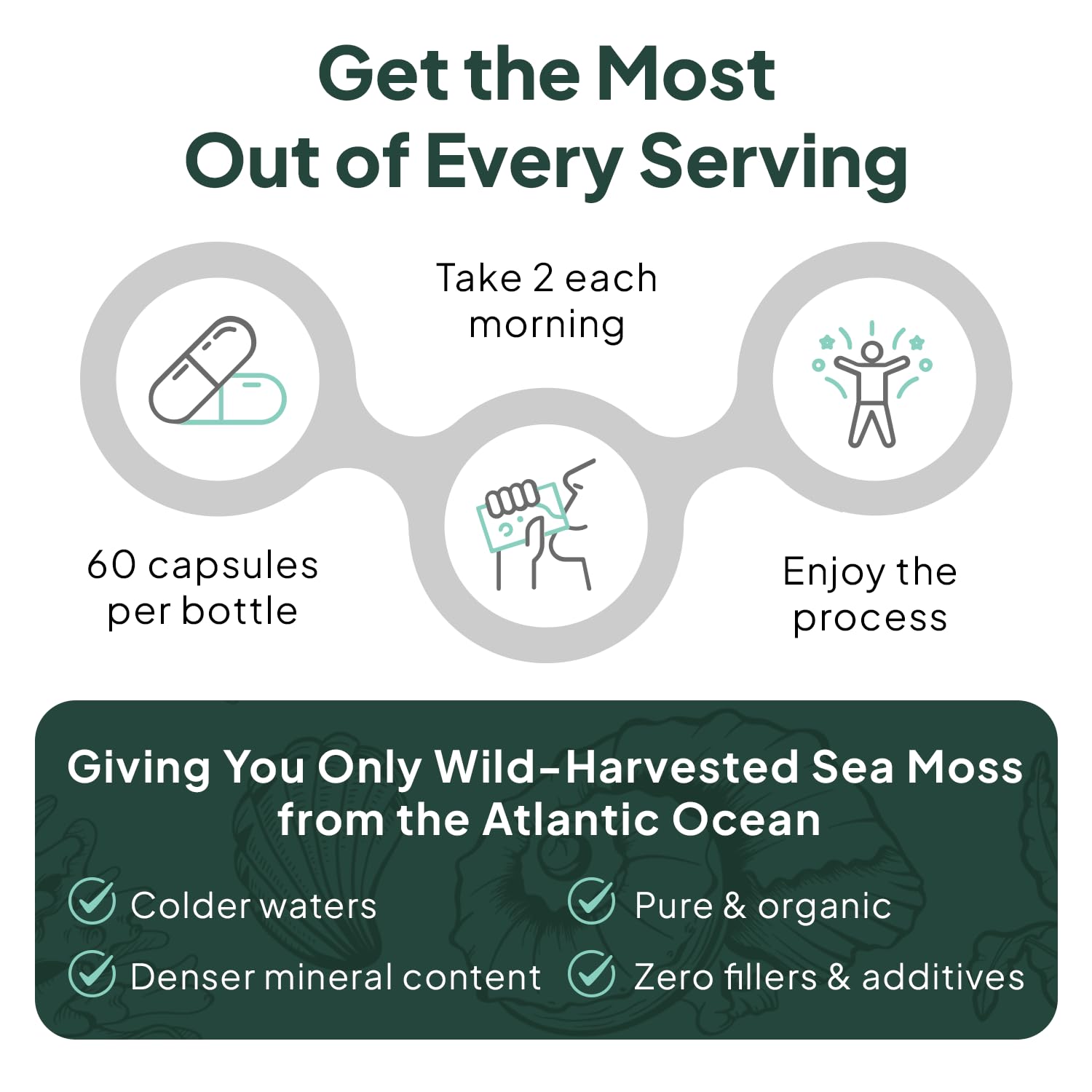 Organics Ocean Sea Moss Capsules packaging and label