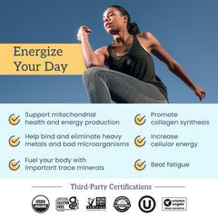 Back of bottle showing PrimaVie Shilajit ingredient