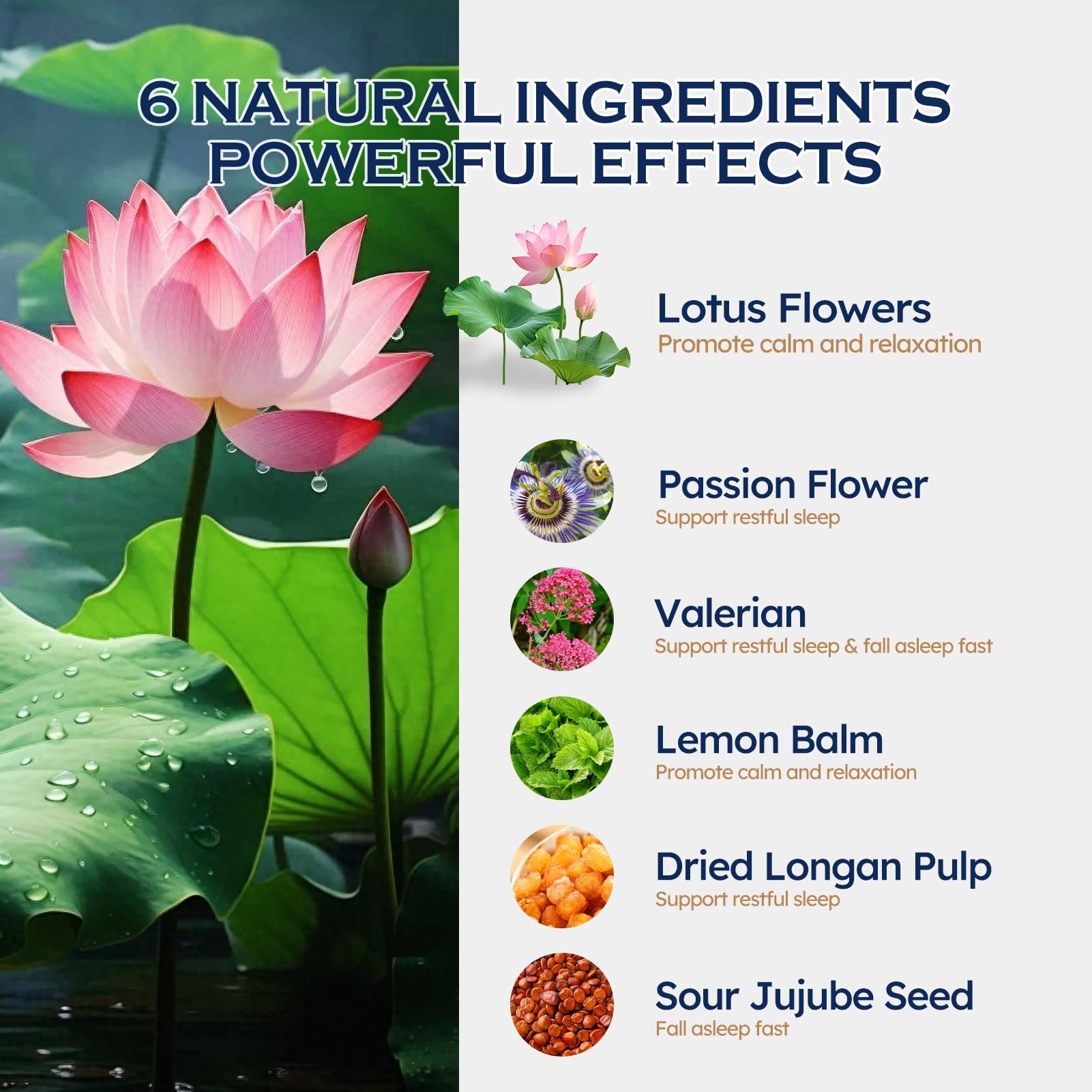 Lotus Flowers, Passion Flower, Valerian and Lemon Balm ingredients