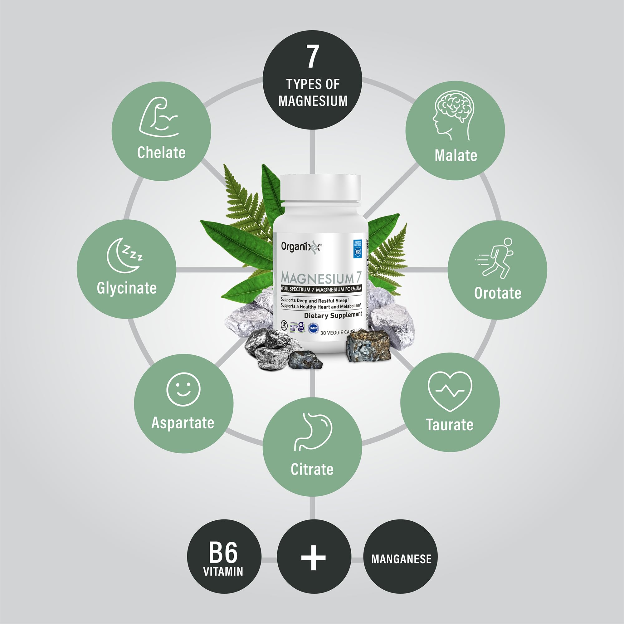 Organixx B6 and manganese citrate capsules close-up highlighting ingredients