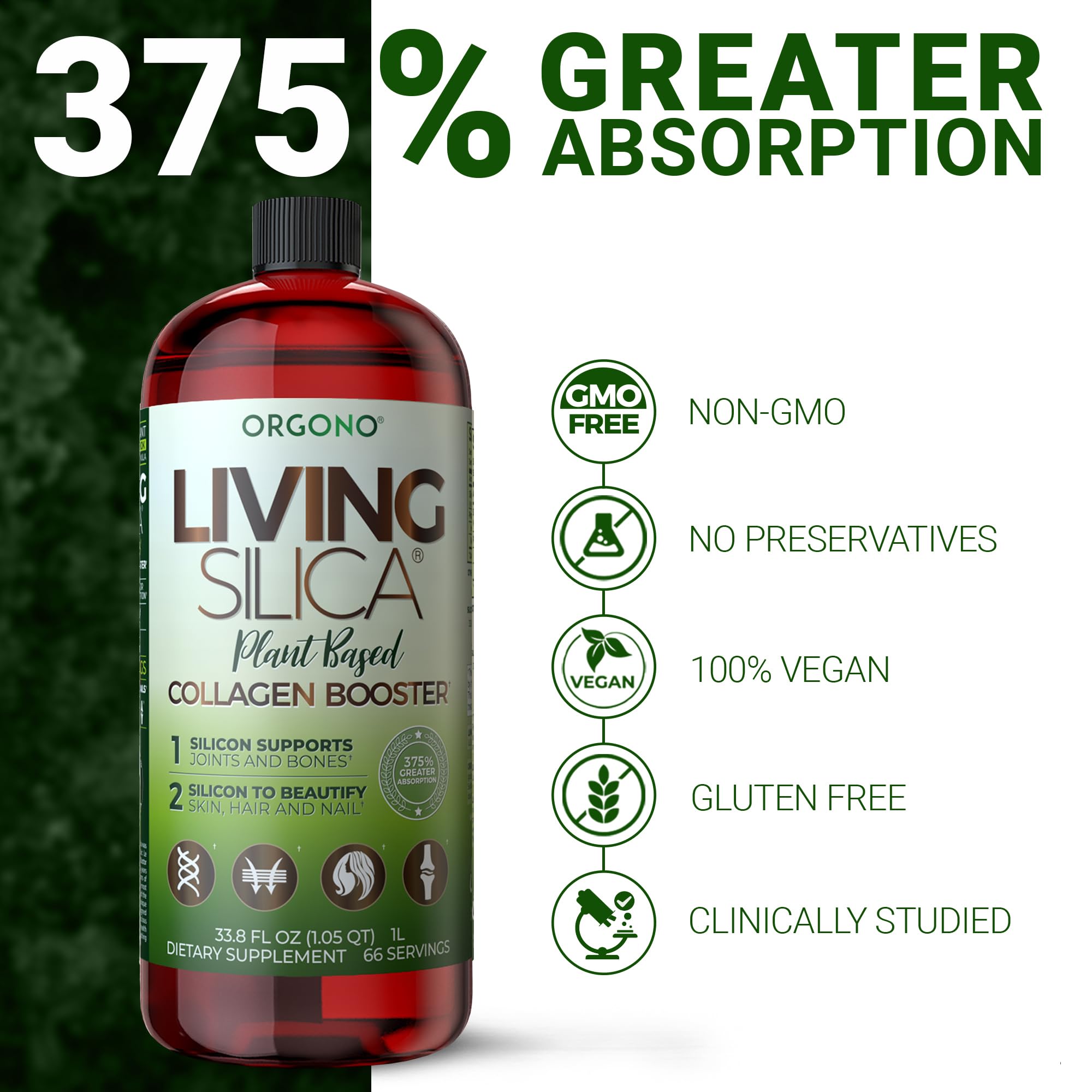 Graphic illustrating high silica absorption of Orgono Living Silica