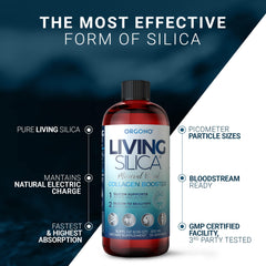 Orgono Living Silica bioavailability infographic