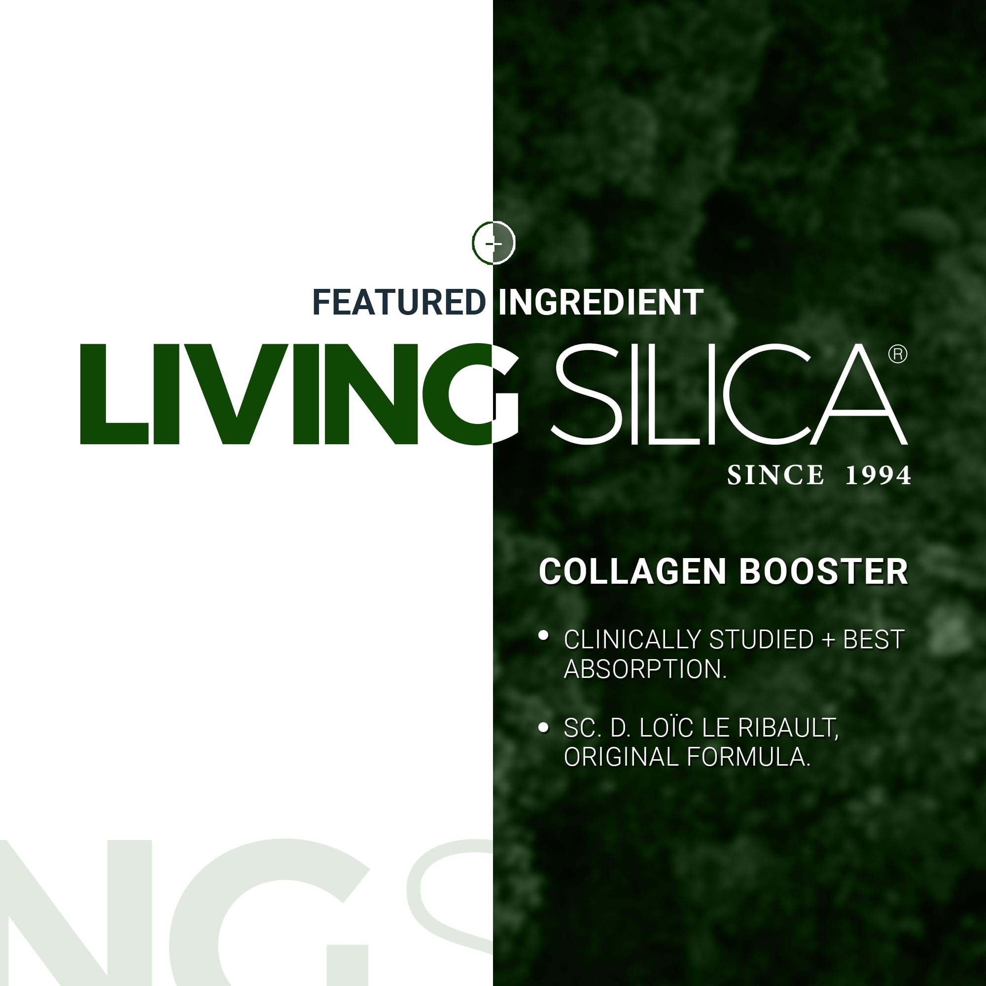 Vegan and GMO-free certification label for Orgono Living Silica