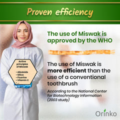 Natural Miswak fibers for dental cleaning