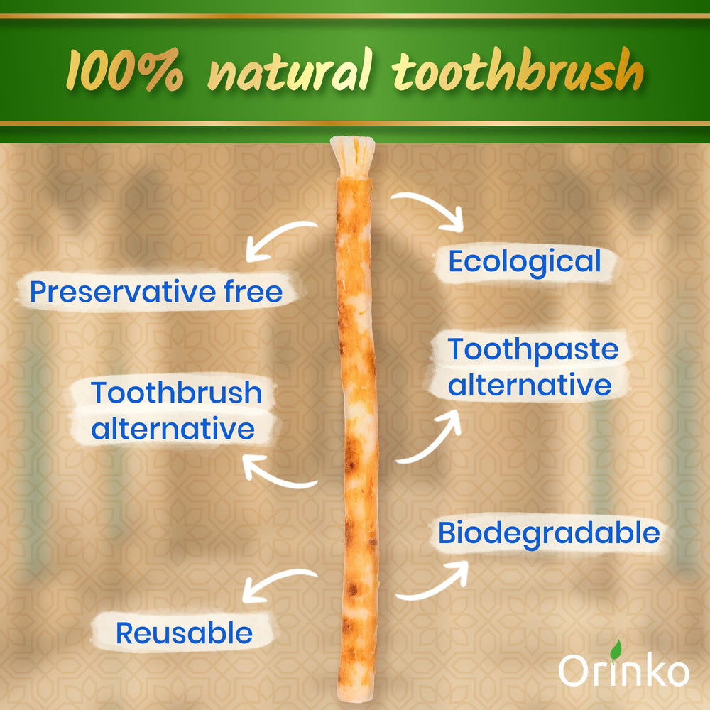 Close-up of Miswak fibers forming toothbrush-like bristles