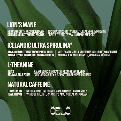 Orlo Brain Performance Bar Icelandic spirulina benefits for vitality and micronutrients.