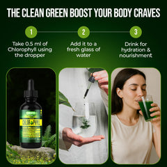 Dropper dispensing chlorophyll liquid into glass