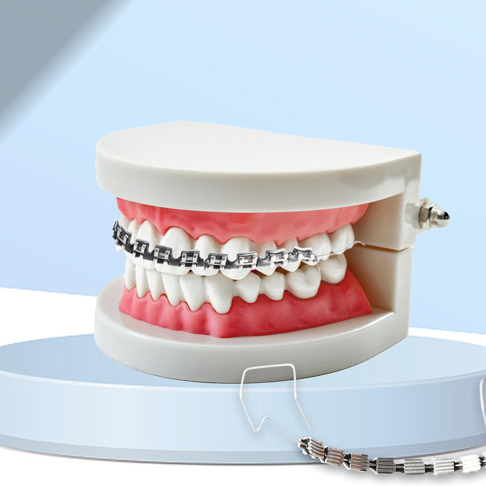 Orthodontic teaching prop with black braces for classroom use