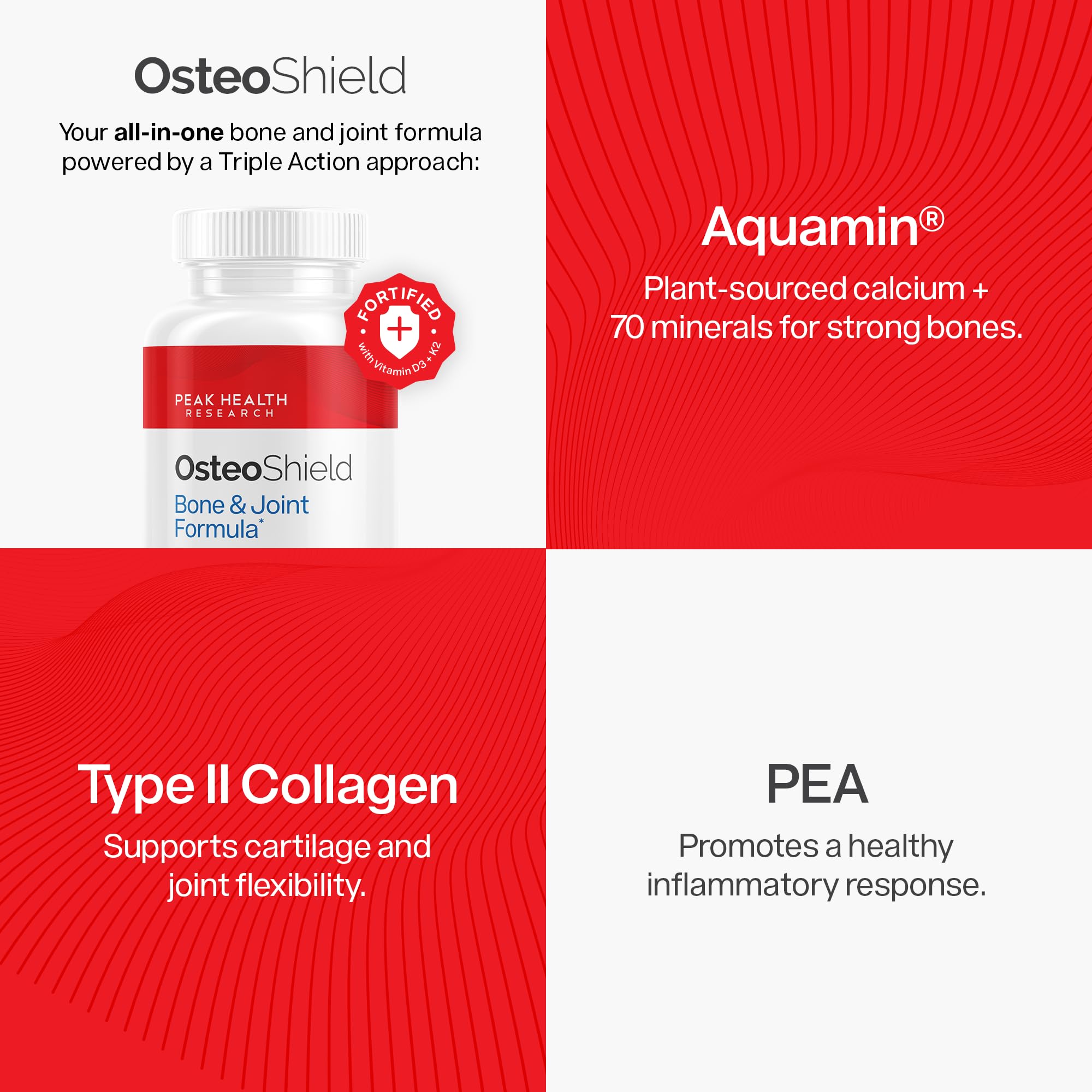 OsteoShield Type II collagen for cartilage health