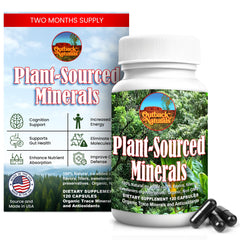 Outback Naturals Humic and Fulvic Mineral Supplement bottle
