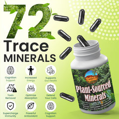 Illustration of plant-sourced minerals and trace minerals