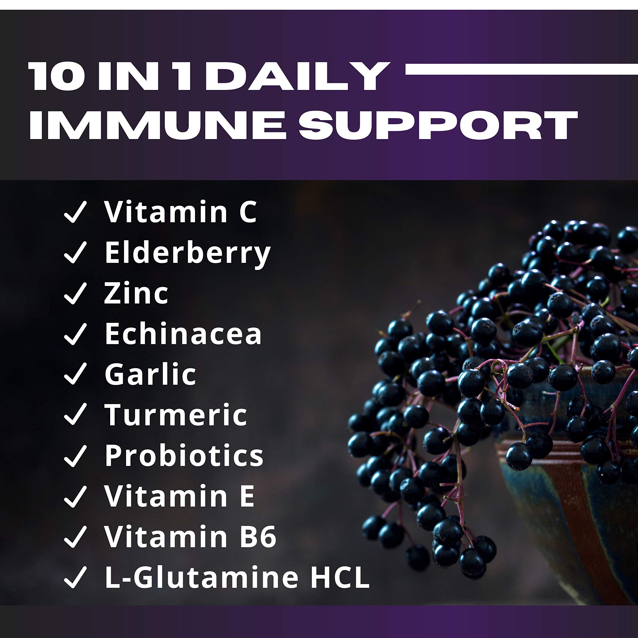 Ingredients collage featuring elderberry, zinc, vitamins C, E and B6