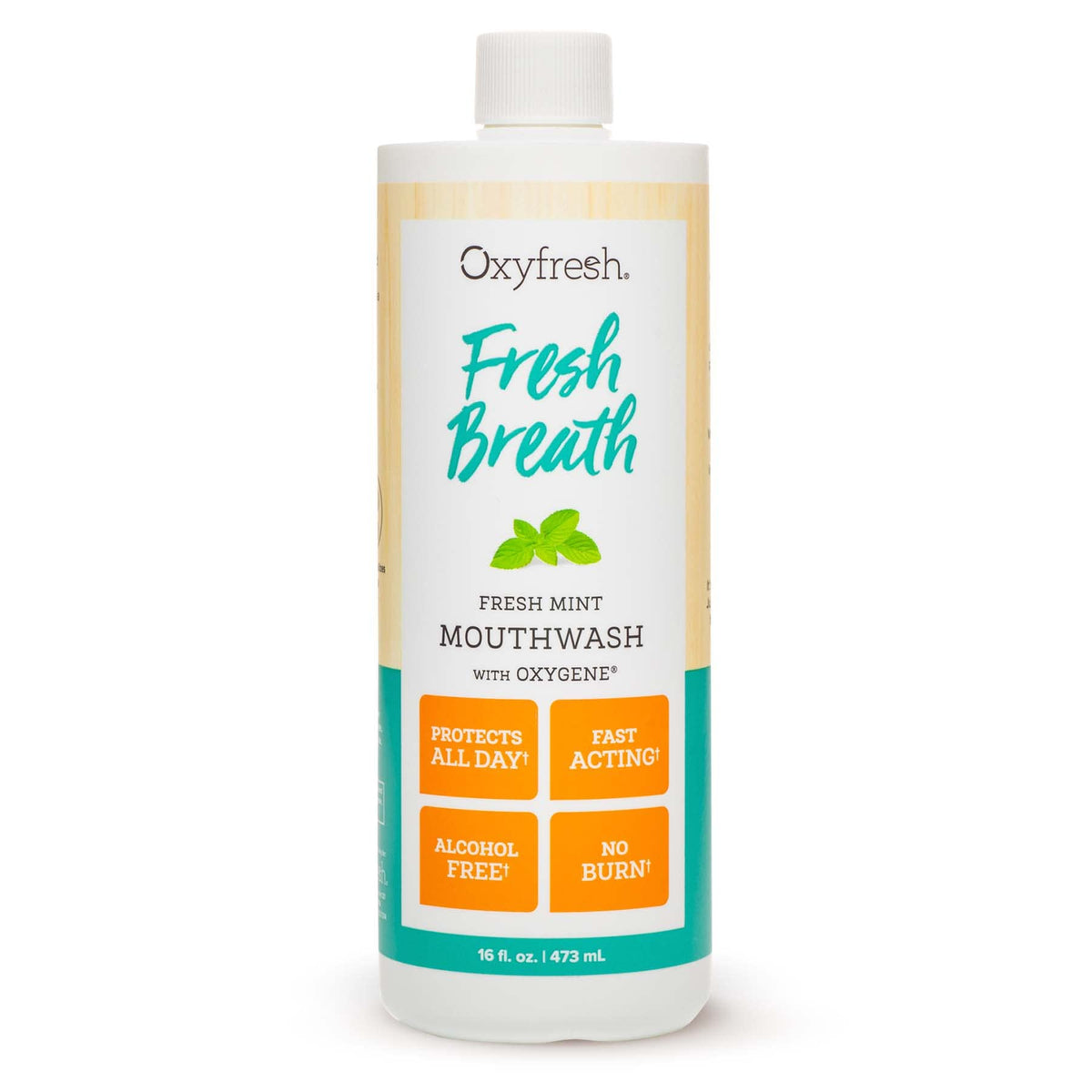 Oxyfresh Fresh Mint Mouthwash bottle 16 oz