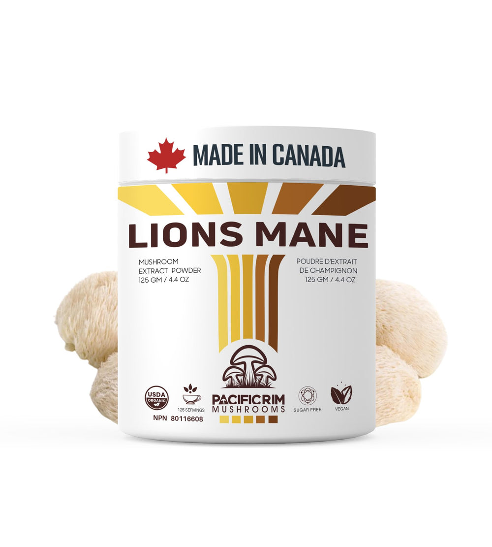 Hero image of Pacific Rim Mushrooms Lions Mane powder