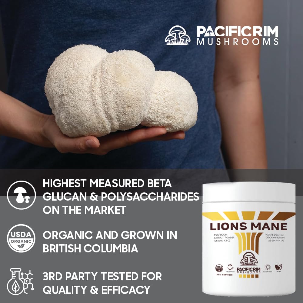Serving scoop of Lions Mane powder showing texture