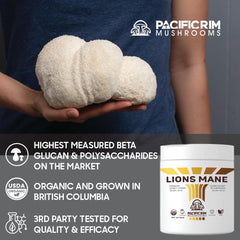 Serving scoop of Lions Mane powder showing texture