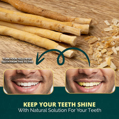 Miswak sticks close-up with holder