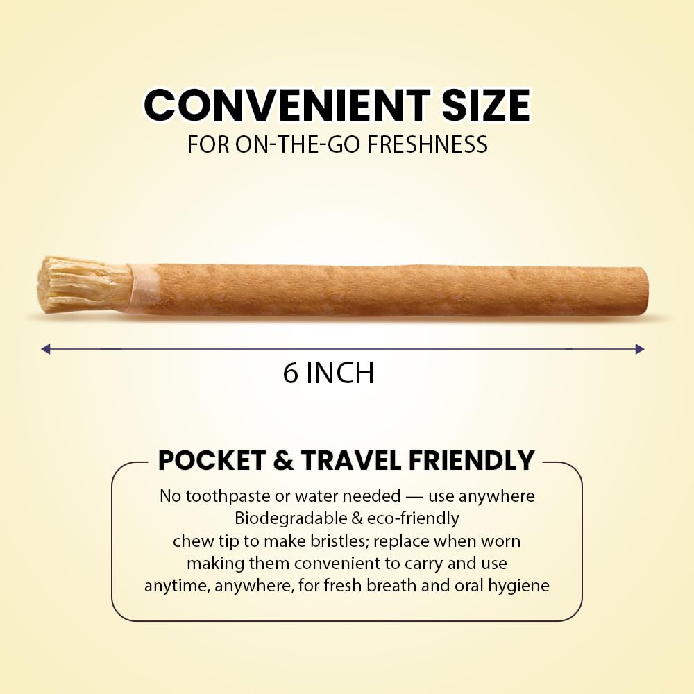 Pack of 10 Miswak toothbrushes