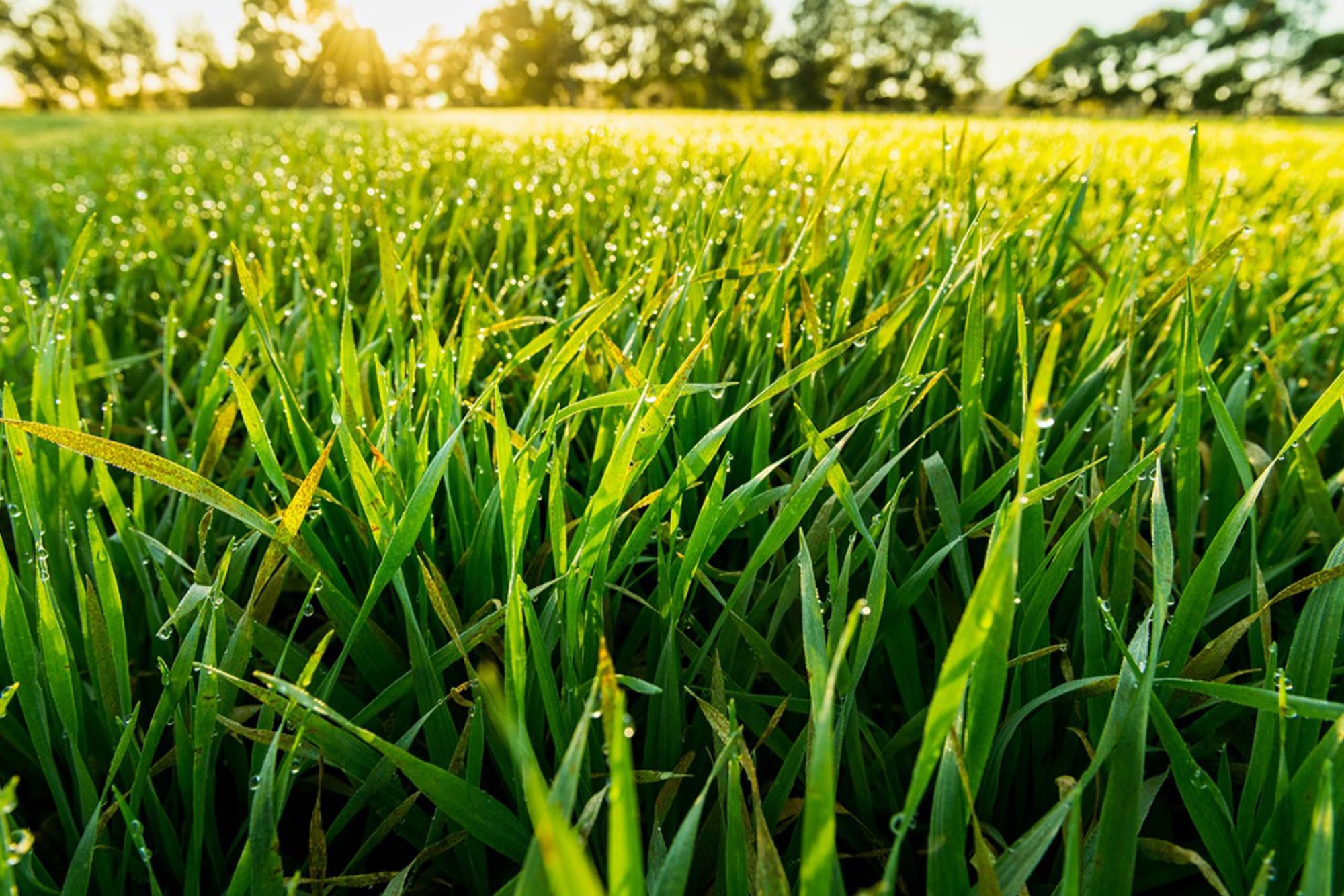 Packaging manufactured and packaged in Utah, USA