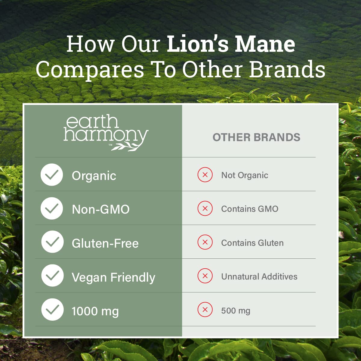 Eco-friendly packaging box for Lions Mane supplement