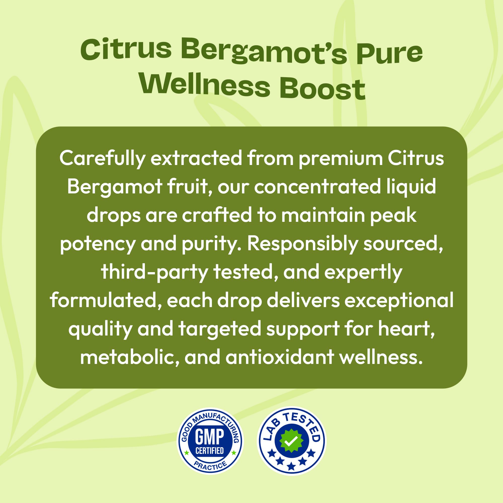 Suggested pairing with olive leaf extract and hawthorn for heart health