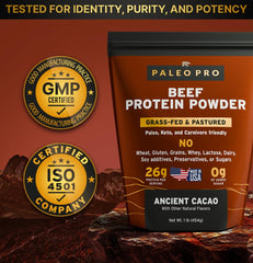 Close-up of beef protein isolate powder texture