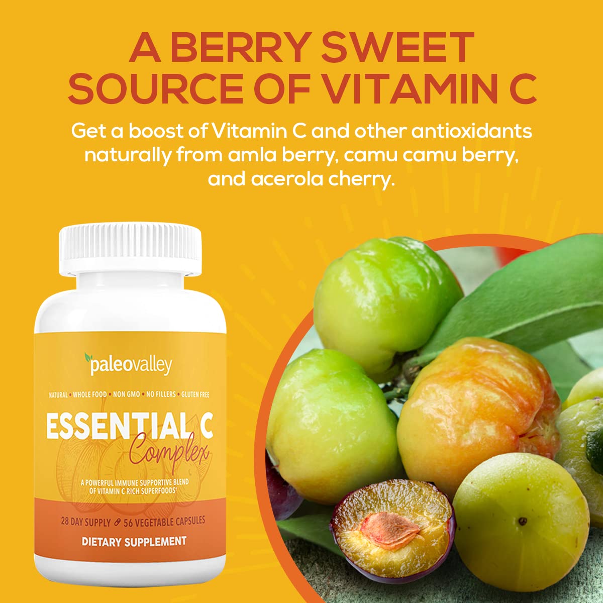 Amla berry vitamin C source