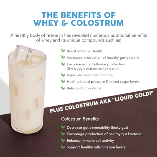 Paleovalley vanilla whey powder scoop ready for daily protein intake.