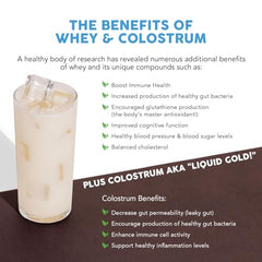 Paleovalley vanilla whey powder scoop ready for daily protein intake.