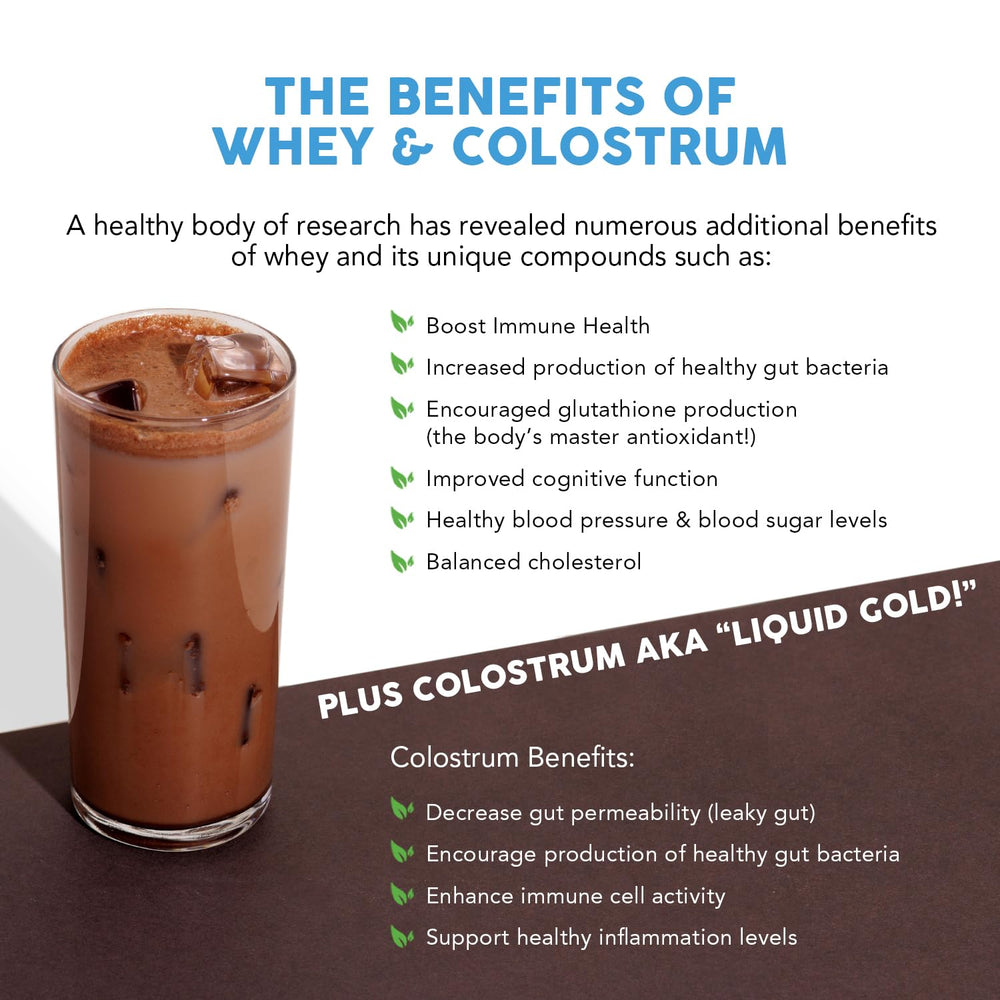 Paleovalley whey ingredients label closeup showcases full-spectrum benefits