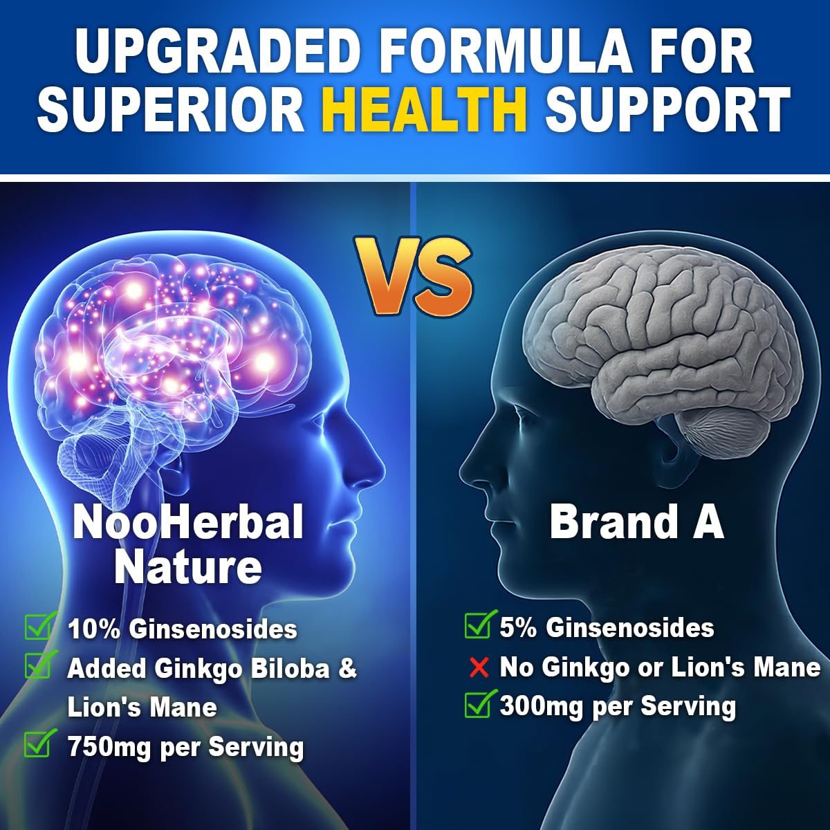 Ingredient blend graphic for Panax Ginseng, Ginkgo Biloba, Lions Mane