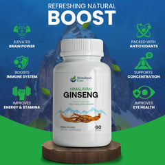 Korean Red Ginseng extract root powder close-up