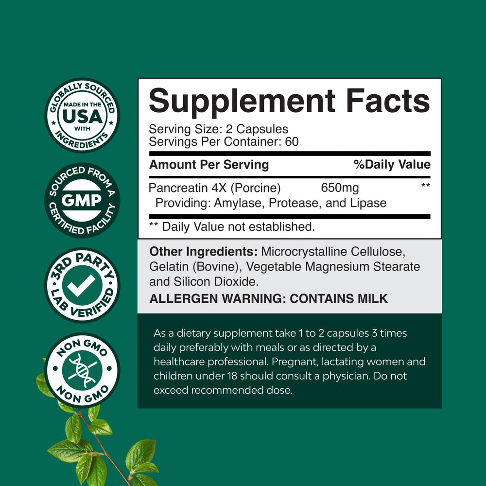Illustration of amylase, protease and lipase enzymes