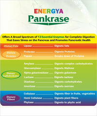PANKRASE enzyme capsule close-up