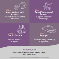 Turmeric and Papain ingredients visual