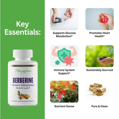 Label close-up for Paradise Herbs Berberine Extract 500 mg