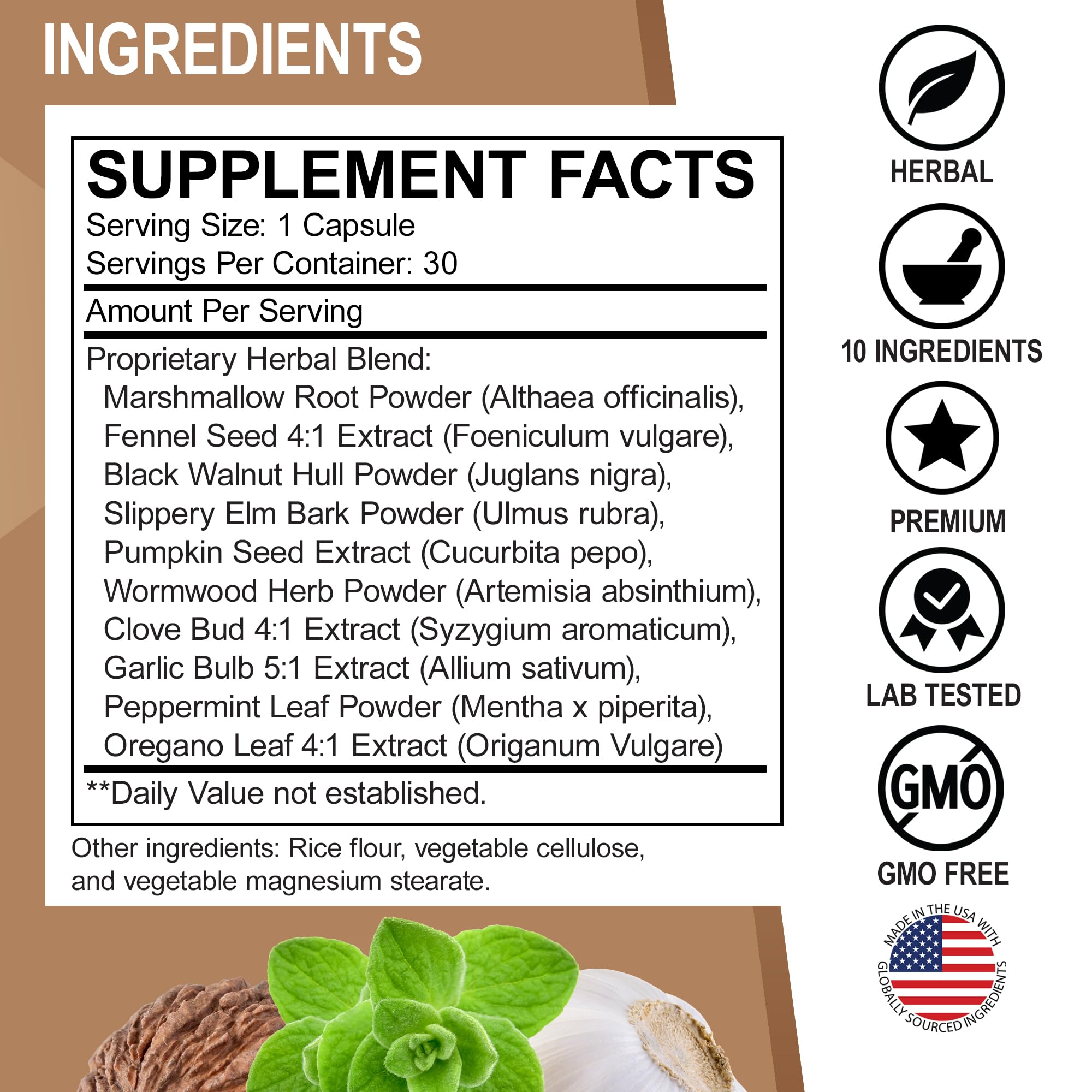 Digestive health concept graphic for ParaGuard