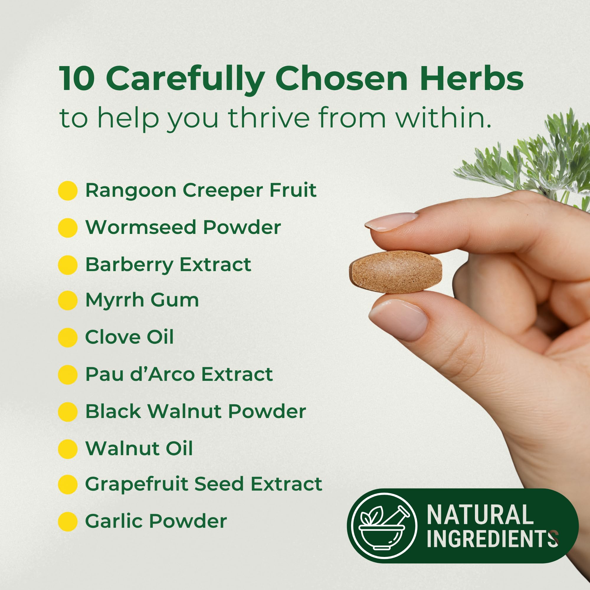 ParaProteX digestive balance focus suggests gentle daily support.