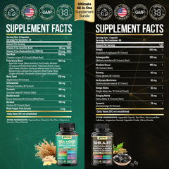 Shilajit 60 capsules bottle (Dynamic Vitality Bundle)