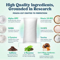 Parrox Zennies wintergreen flavor pouch delivering refreshing energy