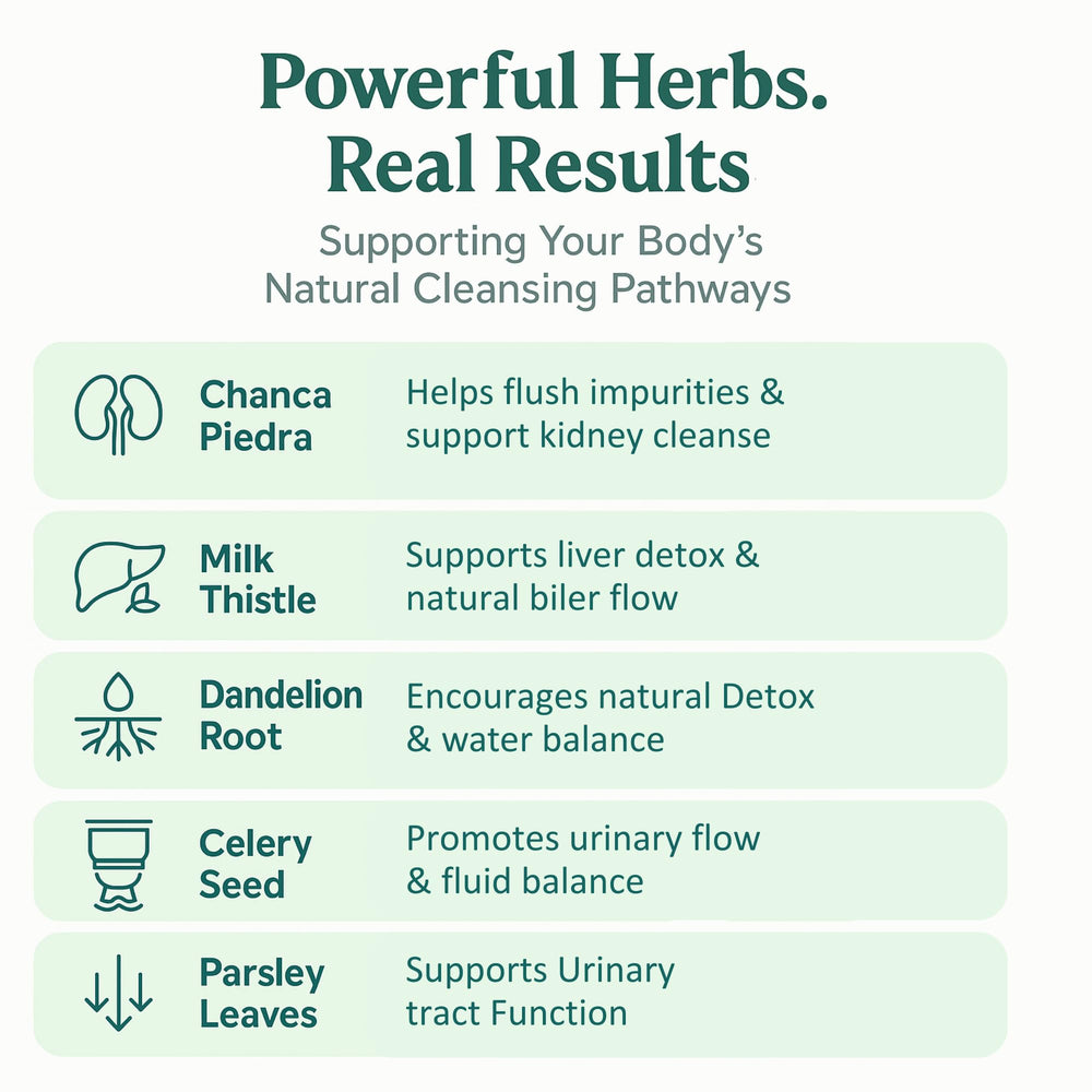 Parsley leaves and black pepper illustration