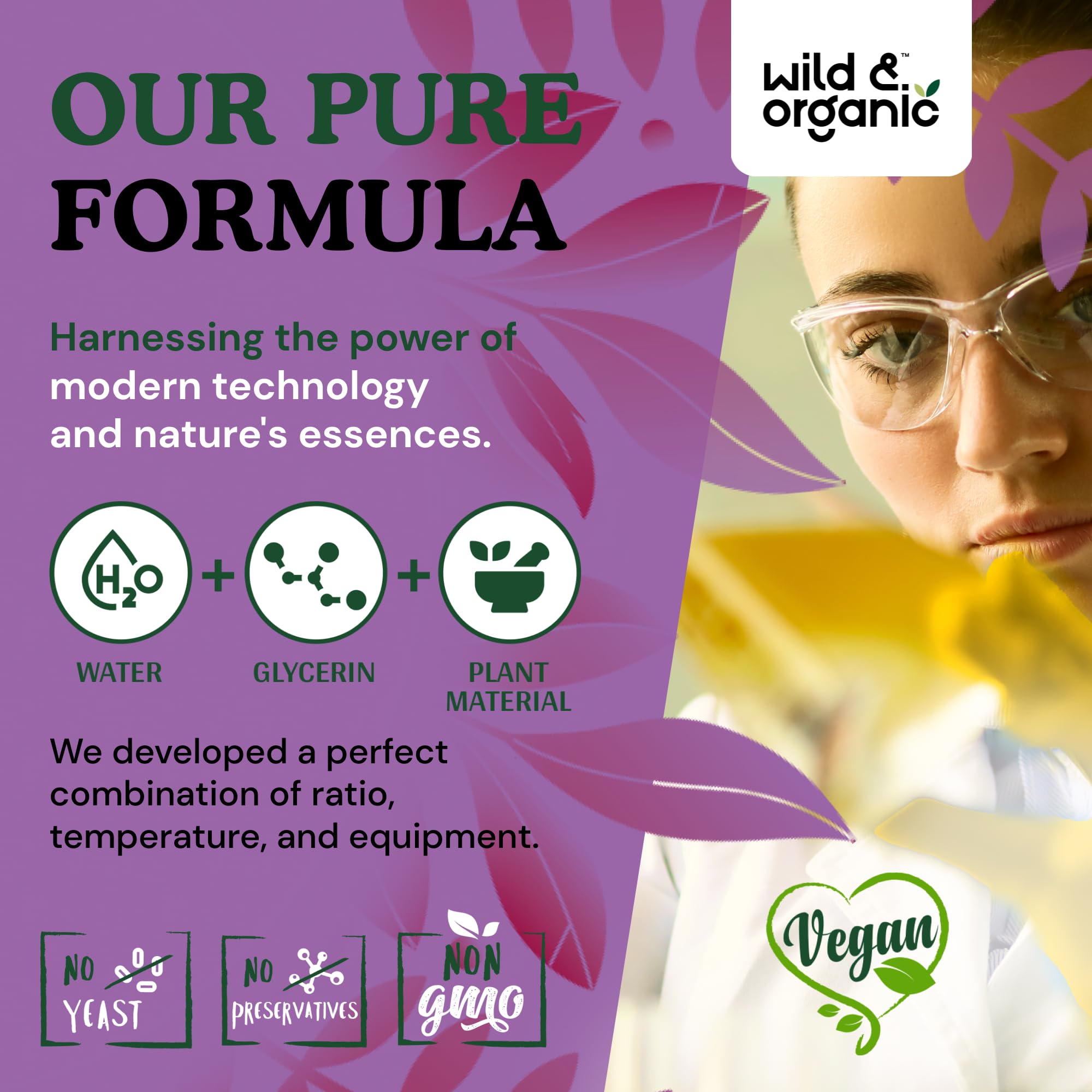 Illustration of Passiflora incarnata (passion flower) plant