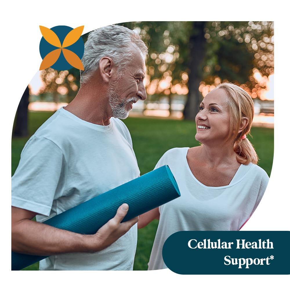 Absorption and delivery of quercetin with bromelain