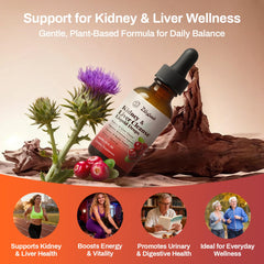 Pavintrix Kidney Cleanse Drops 60ml bottle for easy daily use.