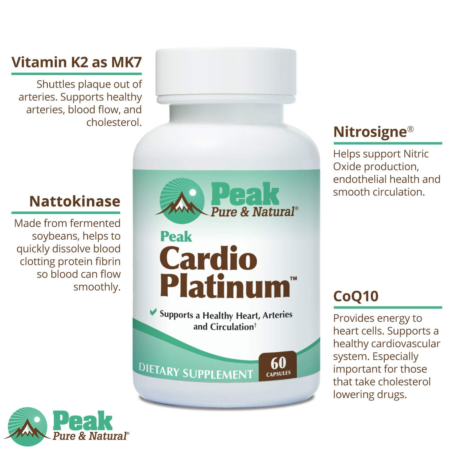 Illustration of healthy arteries and improved blood flow with Peak Cardio Platinum