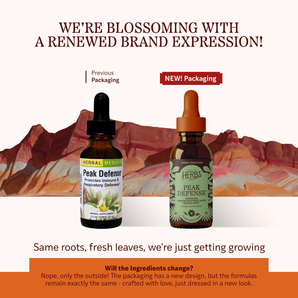 Illustration of Peak Defense ingredients: goldenseal, echinacea angustifolia, and yarrow