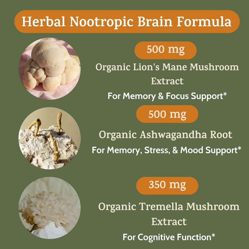 Maca root ingredient in Peak + Valley capsules