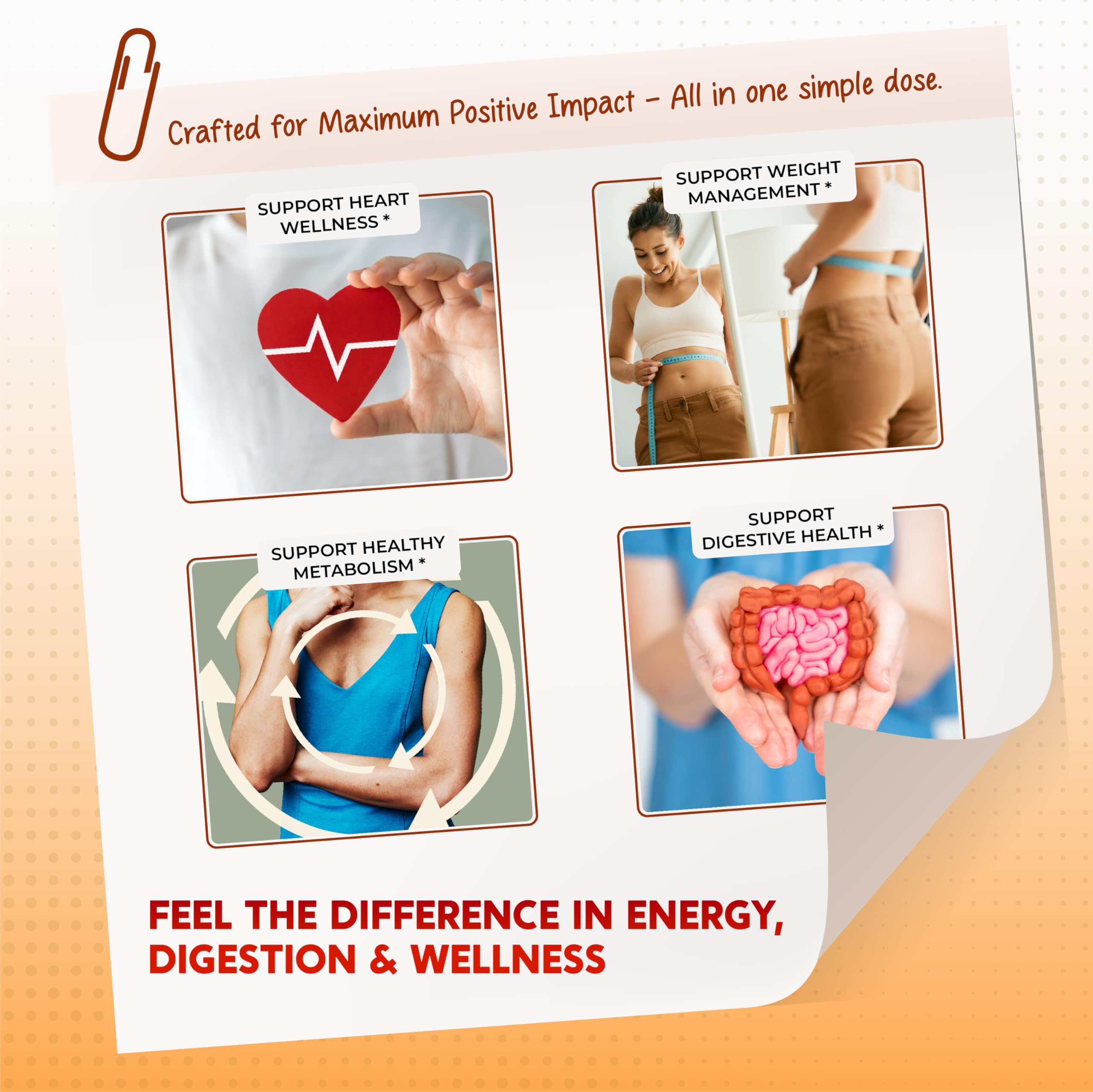 Ingredient blend highlighting Berberine Cinnamon Apple Cider Vinegar Turmeric