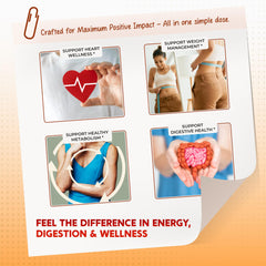 Ingredient blend highlighting Berberine Cinnamon Apple Cider Vinegar Turmeric