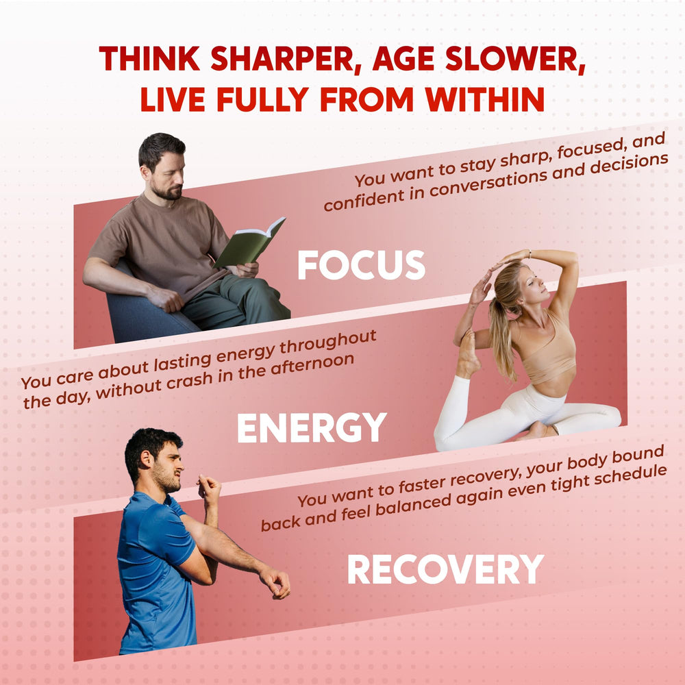 Absorption enhancement with Black Pepper illustration